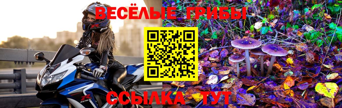 Галлюциногенные грибы ЛСД Щёкино
